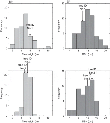 Figure 8. Frequency distribution of height and diameter at breast height (DBH) of trees at the present study sites. (a) US site, (b) HM site.