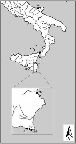 Figure 1 Map showing catch localities of individuals used in this study.(LE) Lesina; (GA) Ganzirri; (MA) Manzonara; (MM) Marina di Modica; (LO*) Longarini; (PV*) Pantano Viruca; (FM*) Foce Marcellino. The asterisks indicate the populations from southeastern Sicily (Tigano et al. Citation2004a).