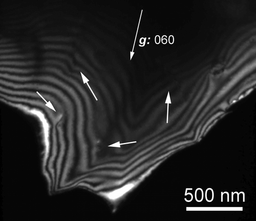 Figure 6. Sample DFC-2 – WBDF micrographs performed with: g: 0 6 0 to look for possible evidences of [0 1 0] dislocations. No dislocation is found in contrast with g: 0 6 0 in any area investigated. The contrasts arrowed here are only residual contrasts related to [0 0 1] dislocations.