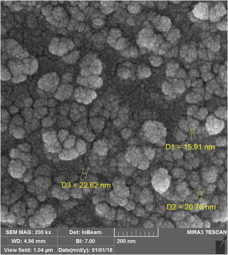 Figure 2. The SEM image of mica/Fe3O4 nanocomposite.
