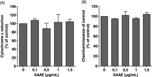 Figure 3. Effect of SAAE on superoxide anions and H2O2 in vitro. (A) Xanthine oxidase was incubated in the presence or absence of SAAE, xanthine was added and superoxide anions were detected by the cytochrome c reduction assay. (B) H2O2 was incubated in the presence or absence of SAAE and detected using HRP-amplified chemiluminescence (mean ± SEM of three experiments, *p < 0.05).
