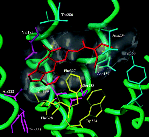 Figure 4 Docking of lisuride (coloured in red).