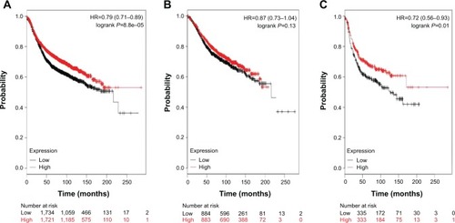 Figure 5 The clinical relevance of RUNX3 was determined in a patient survival analysis using an online database containing the expression of 22,277 genes and 20-year survival information of 3,455 BC patients.