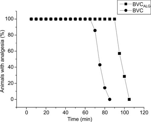 Figure 2 Time-course (minutes) showing the percentage of animals with analgesia after treatment with 0.5% BVC plain solution or encapsulated into alginate–chitosan nanoparticles (BVCALG) as evaluated by the infraorbital nerve blockade test in rats (n=7/group).