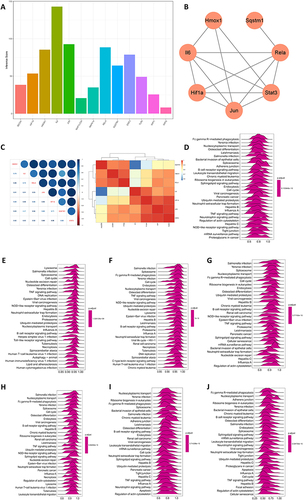 Figure 5 Disease association of Hub genes and their single gene pathway analysis. (A) Association scores of genes with AP obtained from the CTD database. (B) Genes with association scores >50% are shown. (C) Gene-to-gene correlation analysis. (D–J) Single-gene GSEA analysis of Hmox1, Il6, Hif1a, Jun, Stat3, Rela and Sqstm1.