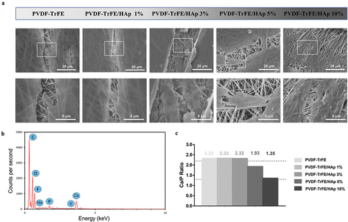 Figure 10. SEM micrographs (a) of the different cell-seeded composite piezoelectric nanofibers after 21 days of osteogenic differentiation: close-up (bottom) of regions of the cell-seeded scaffolds highlighted on top. Elemental composition analysis (b) of cell-seeded PVDF-TrFE nanofibers without HAp after 21 days of cell culture. EDX spectra were collected on non-coated regions of the fibrous mats (to improve acquisition of phosphorus peaks). Calcium/phosphorus (Ca/P) ratio (c) of the cell-derived mineral deposits formed on the surface of the different piezoelectric scaffolds.