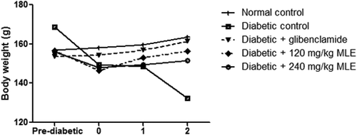 Figure 2. Effect of glibenclamide and M. lucida leaf extract (MLE) on body weight in alloxan-induced diabetic rats. Alloxan treatment led to decrease in body weight, while alloxan + glibenclamide and alloxan + MLE (120 and 240 mg/kg) treatments improved body weight (n = 4).