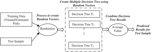 Figure 9. The process of random forest classifier used for machine learning.