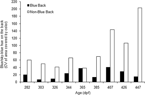 Figure 3. CV of the blue/sky-blue hue on the back skin of the BB and the NBB individuals of rainbow trout during juvenile development.Note: Closed bars, BB juveniles; open bars, NBB juveniles. X axis shows each development stages in dpf.