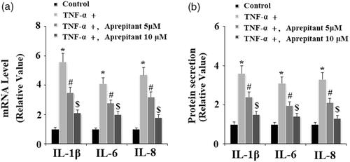 Figure 5. The neurokinin-1 receptor (NK-1R) antagonist aprepitant inhibits TNF-α (10 ng/ml)-induced expression of IL-1β, IL-6, IL-8 in FLSs. FLSs were incubated with 10 ng/ml TNF-α in the presence or absence of aprepitant (5, 10 μM) for 24 h. (a). mRNA expression of IL-1β, IL-6, and IL-8 determined by real-time PCR; (b). Secretion of IL-1β, IL-6 and IL-8 determined by ELISA (*, #, $, p<.01 vs. previous column group).