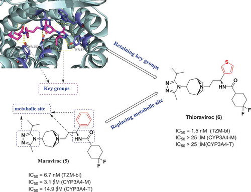 Figure 3. Discovery of thioraviroc via structural biology-guided and multiparameter optimization.