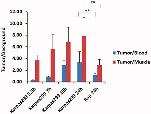 Figure 8. Tumour/background ratios of of 123I-anti-CD30-LDM in Karpas 299 and Raji tumour-bearing nude mice (data were shown as mean± SD, %ID/g, n = 5). **p < .05.