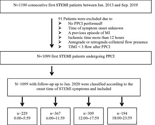 Figure 1. Patient selection flow. STEMI: ST-segment elevated myocardial infarction; PPCI: primary percutaneous coronary intervention; TIMI: Thrombolysis in Myocardial Infarction.