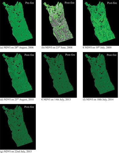 Figure 8. Time series of NDVI of ARF from Landsat images through 2006–2015. Legends refer to Figure 7.