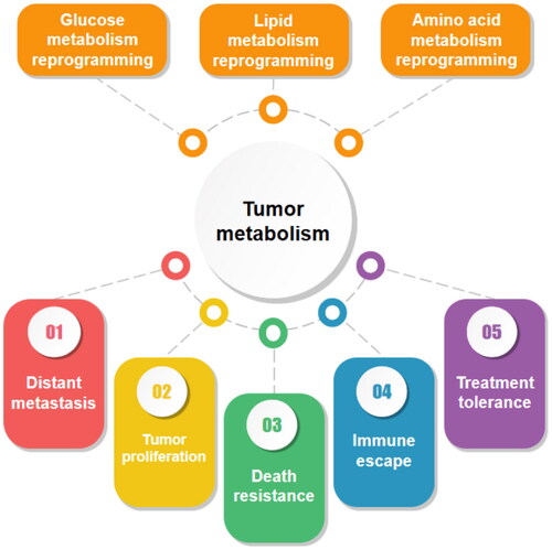 Figure 1. The most notable metabolic modalities of tumor cells include mainly glucose metabolic reprogramming, lipid metabolic reprogramming and amino acid metabolic reprogramming. They play an important role in tumor progression and cover a wide range of aspects including tumor proliferation, distant metastasis, death resistance, immune evasion and treatment tolerance.