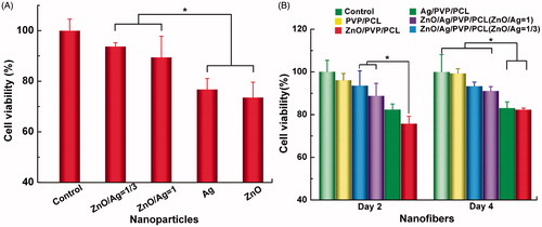 Figure 9. Cytotoxicity of ZnO and Ag against the human skin fibroblasts (HSFs). (A) Cell viability of ZnONPs and AgNPs towards HSFs. (B) Cell viability of the prepared nanofibres towards HSFs at day 2 and 4. *p<.05 (n = 3).