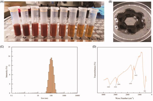 Figure 2. Characterizations of Fe3O4 nanoparticles prepared with chemical coprecipitation method. (A) Photographs of Fe3O4 nanoparticles suspensions with different concentrations. The concentrations are 2, 1.33, 1, 0.8, 0.67, 0.55, 0.44, and 0.4 mg/mL respectively from left to right. (B) Photographs of Fe3O4 nanoparticles in the presence of a flower petal shaped magnet. (C) Size distribution and (D) FTIR spectrum of oleic acid bonded Fe3O4 nanoparticles.