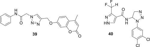 Figure 9. Representative examples of 1,2,3-triazoles with anti-fungal activity.