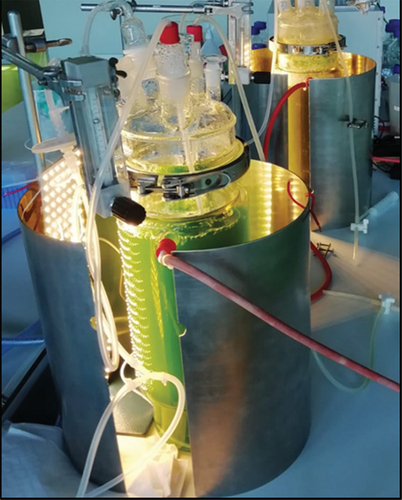 Figure 1. Setup of photobioreactors during cultivation of A. platensis in Zarrouk medium (PBR in front) and brewers grains extract (PBR behind).