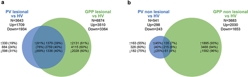 Figure 4. Transcriptome analysis of skin biopsies from patients with PV and GPP compared with skin biopsies from healthy volunteers [Citation84]. The circles in the Venn diagrams illustrate the numbers of DEGs (genes with altered expression in the indicated biopsy compared with the healthy volunteer biopsy). Up-regulated genes are indicated by ↑, and down-regulated genes by ↓. The numbers of DEGs identified in both GPP and PV are illustrated by the overlap between the circles. (a) Biopsies of lesional skin from patients with PV or GPP compared with skin biopsies from healthy volunteers. Although a core of common DEGs is present in both GPP and PV lesions, most genes with altered expression in GPP are not altered in PV. (b) Biopsies of non-lesional skin from patients with GPP or PV, compared with skin biopsies from healthy volunteers, highlighting considerable dysregulation in non-pustular skin in patients with GPP.DEG, differentially expressed genes; GPP, generalized pustular psoriasis; HV, healthy volunteer; PV, psoriasis vulgaris.