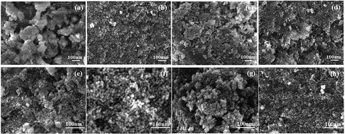 Figure 9. FESEM images of Eu-doped ZnS nanoparticles. Images (a) to (d) correspond to FESEM micrograms with lower magnification (x50K) for samples EZ1 (1 at% Eu-doped ZnS), EZ3 (3 at% Eu-doped ZnS), EZ5 (5 at% Eu-doped ZnS) and EZ7 (7 at% Eu-doped ZnS), respectively. Images (e) to (h) are magnified (x100K) views of the FESEM images of EZ1 to EZ7, respectively.