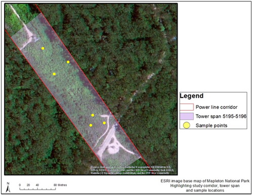 Figure 7. Image showing the locations of each sample base point used for vegetation data collection.