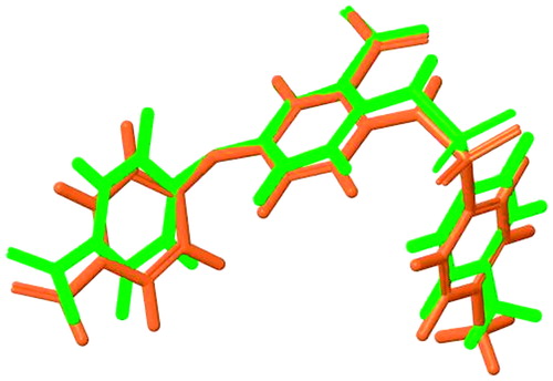 Figure 1. Superposition of two structures; crystal structure is depicted with green and docked compound 8 with orange (RMSD ∼ 0.2).
