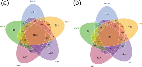 Figure 3. Venn diagrams created using OTUs and showing the number of OTUs unique to a single treatment or shared by two, three, four, or all five treatments. Numbers indicate the number of OTUs. FH1, FH2, FH3, FHCK1, and FHCK2 represent the rhizosphere soil from the one-year cultured, two-year consecutively monocultured, three-year consecutively monocultured, control with no Atractylodes lancea cultivation, and one year after the harvest of the rhizosphere soil plots, respectively. a – Bacteria; b – Fungi