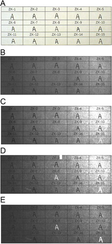 Figure 9. Changes in 15 types of black gel ink on printing paper with original diagram under visible light (A) and fluorescence absorption diagram under infrared luminescence (IRL) conditions with 400 to 485 nm spot filters and 645 nm long-pass filter (B), 445 to 570 nm spot filters and 645 nm long-pass filter (C), 515 to 640 nm spot filters and 695 nm long-pass filter (D), and 545 to 675 nm spot filters and 725 nm long-pass filter (E).