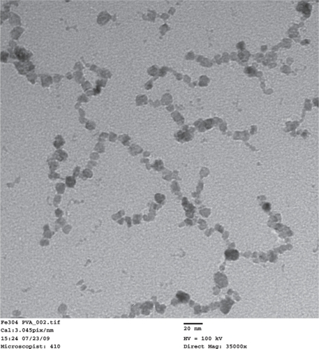 Figure 2 Transmission electron microscope images of the synthesized IO/PVA nanoparticles. Scale bar = 20 nm.Abbreviations: IO, iron oxide; PVA, polyvinyl alcohol.