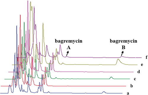 Figure 3. HPLC chromatograms of organic extracts of wild-type strain S. sp. Tü 4128 (a), bagE mutant TDRE (b), bagE complementation strain TCPE (c), bagE complementation control (d), bagE overexpression strain TOEE (e), bagE overexpression control (f).