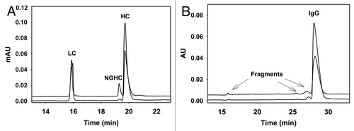 Figure 4 (A) CE-SDS gel electropherograms of IgG1 produced in CHO (lower trace) and Pichia (upper trace) under reducing condition. Both have typical IgG pattern with LC, HC and NGHC. This particular Pichia-produced IgG1 contains about 10% NGHC compared to 1% of NGHC in CHO IgG1. Samples (1 mg/mL) were reduced in beta mercaptoethanol (2-ME) containing 0.5% SDS and heated at 70°C for 10 min. CE-SDS gel was performed using Beckman PA800 CE system (220 nm detection) in bare-fused silica capillary. Sample was injected at anode with reverse polarity using -5 kV for 25 s. The separation was performed at -15 kV reverse polarity with 20 psi at both ends of capillary for 30 min. (B) CE-SDS gel electropherograms of IgG1 produced in CHO (lower trace) and Pichia (upper trace) under non-reducing condition. Both have >96% intact IgG with no covalently linked aggregates. Non-reducing samples (1 mg/mL) were treated with 25 mM iodoacetamide in the presence of 0.5% SDS and heated at 70°C for 10 min. CE separation was the same as described in reducing samples above.