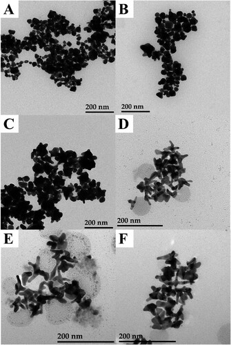 Figure 1. Transmission electron microscopy images of gold nanostructures synthesized through 1 h of plasmon-mediation under 505 nm light at various concentrations of AgNO3 (A) 0.16 µm, (B) 0.32 µm, (C) 0.64 µm, (D) 1.28 µm, (E) 2.56 µm, (F) 5.12 µm in a 5 mL growth solution containing 0.2 nm nanocube seed, 0.5 mm HAuCl4, 2.44 mm L-pyroglutamic acid, 0.5 mL methanol, and 24 mm Triton X-100.
