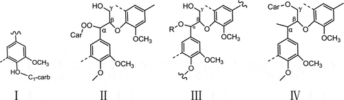 Figure 1. Types of lignin sugar complexes linkages