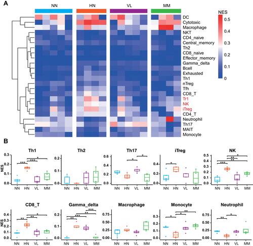 Figure 6 Cell type change in samples of four diseases. (A) Heat map of cell type changes. The average of the percentage of immune cells in a sample of the same disease indicates the percentage of immune cells in that disease. The colors represent the percentage of immune cells in the disease. (B) Bee map of different types of immune cells. ***P < 0.001, **P < 0.01, *P < 0.05.