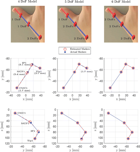 Figure 7. Comparison between measured and estimated Xi expressed in {BH} for 4 DoF (left), 5 DoF (middle) and 6 DoF (right) thumb models for an exemplar subject. The top row shows a representation of the serial linkage of the compared three models. The estimation error, defined as the maximal Euclidean distance between measured and estimated Xi, is represented by the numbers in brackets for the corresponding Xi.