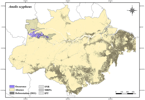 Figure 14. Occurrence area and records of Anolis scypheus in the Brazilian Amazonia, showing the overlap with protected and deforested areas.