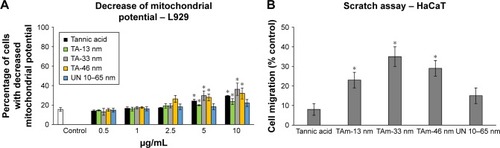 Figure 3 Cytotoxicity assays in L929 cell line (A) and in vitro scratch assay in HaCaT cell line (B) exposed to TAm and unmodified AgNPs.Notes: (A) L929 cell line was exposed to TAm AgNPs sized 13, 33, 46 nm and UN 10–65 nm AgNPs at 0.5–10 µg/mL for 24 h and subjected to measurement of mitochondrial potential with JC-1. The results are expressed as the percentage of cells with decreased mitochondrial potential. (B) Quantitative analysis of scratch assay in HaCaT cell line exposed to TAm AgNPs sized 13, 33, 46 nm and UN 10–65 nm AgNPs at 5 µg/mL for 24 h. Migration of cells is expressed as percentage increase in relation to control, unexposed culture with scratch. Each bar represents the mean from 5 experiments (N=5) ± SEM, *Significant differences with p≤0.01.Abbreviations: AgNPs, silver nanoparticles; JC-1, 1H-benzimidazolium, 5,6-dichloro-2-[3-(5,6-dichloro-1,3-diethyl-1,3-dihydro-2H-benzimidazol-2-ylidene)-1-propenyl]-1,3-diethyl-, iodide; TAm, tannic acid-modified; SEM, standard error of the mean; UN, unmodified.