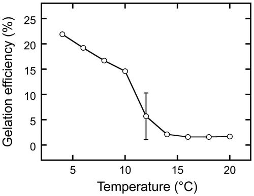 Figure 6. Effect of temperature on gelation. Extracts were prepared by boiling and then sieving suspensions containing ground beans. Each was then incubated at a temperature between 4 and 20 °C for 2 days. Gelation efficiency was calculated as in Figure 1. Data are expressed as the means ± standard deviations of three independent experiments.
