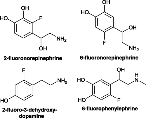Figure 8 Chemical structures of 2-fluoronorepinephrine, 6-fluoronorepineephrine, 2-fluorodopamine and 6-fluorophenylephrine.