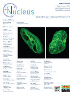Cover image for Nucleus, Volume 1, Issue 6, 2010