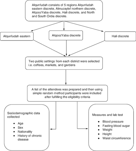 Figure 1. The study sample selection procures and study procedures.