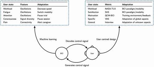 Figure 2. An example of the brain-computer interface (BCI) control cycle and how adaptation to the internal state of the user could be included. The user generates a control signal that is decoded by the BCI and provided as feedback to the user. In this example, the BCI is adapted by applying user-centered design (UCD) to determine the preferences and abilities of the user via self-report measures (such as the NASA-Task Load Index [NASA-TLX; Citation53,Citation54], the System Usability Scale [SUS; Citation85,Citation86], the BCI version of the Questionnaire for Current Motivation in Learning and Performance Situations [QCM-BCI; Citation18,Citation35,Citation36], visual analogue scales (VAS), or using an interview approach) and also via the detection of electrophysiological signal features (such as electroencephalographic oscillations, signal diversity and connectivity) by applying machine learning to determine the current state of the user.