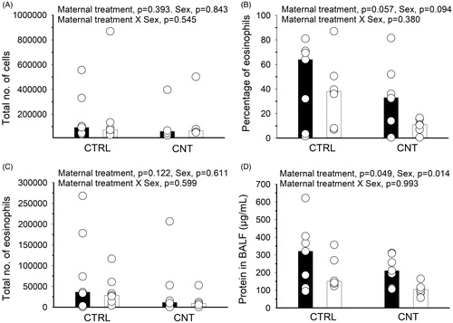 Figure 4. Effect of pre-conceptional maternal CNT exposure on allergen immunization in offspring. At age 2 weeks, offspring were s.c. immunized with OVA and exposed to OVA by inhalation, c.f. Figure 1(B). Allergic airway inflammation was assessed in BALF from the total number of cells (A), the percentage (B) and total number (C) of eosinophils and from protein levels (D). Individual and median values of female (black) and male (white) offspring are shown (n = 7). p-values of the GLM analyses are given above the figures. Data in (A) and (C) were log-transformed for the statistical analyses.