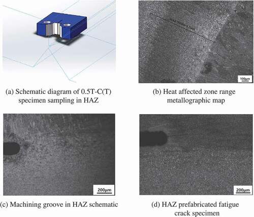 Figure 3. HAZ specimen sampling diagram. (a) Schematic diagram of 0.5T-C(T) specimen sampling in HAZ, (b) Heat-affected zone range metallographic map, (c) Machining groove in HAZ schematic, and (d) HAZ prefabricated fatigue crack specimen.