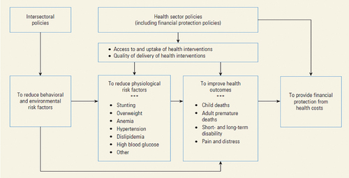 Figure 2. DCP3 conceptual framework for health-related policies (source).Citation11