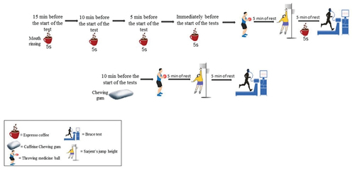 Figure 2. The protocol for taking supplements and performing tests.