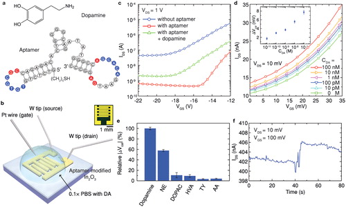 Figure 2. Dopamine aptamer immobilized In2O3 biosensors for subnanomolar dopamine detection [Citation20].