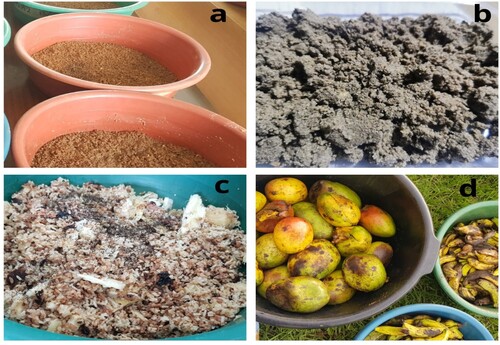 Figure 1. Organic wastes used as substrates. (a) WB – wheat bran. (b) MW – millet waste. (c) RL – restaurant leftovers. (d) FW – fruit waste.