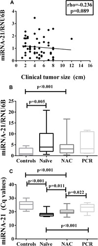Figure 2 Correlation of miRNA-21 Expression with Tumor Size and Response to Neoadjuvant Chemotherapy. (A) Correlation between miRNA-21 and tumor size (cm) (Spearman’s rank correlation coefficient). (B) miRNA-21 expression considering exposure to NAC (or not) and achievement of PCR (miRNA-21/RNU6B was calculated using the 2−ΔΔCt method). The expression values are presented as the ΔΔCq value on a log2 scale (generalized linear model) (C) miRNA-21 expression based on the means of the Cq values and considering exposure to NAC and achievement of PCR (generalized linear model). Data are presented as the mean ± SE.